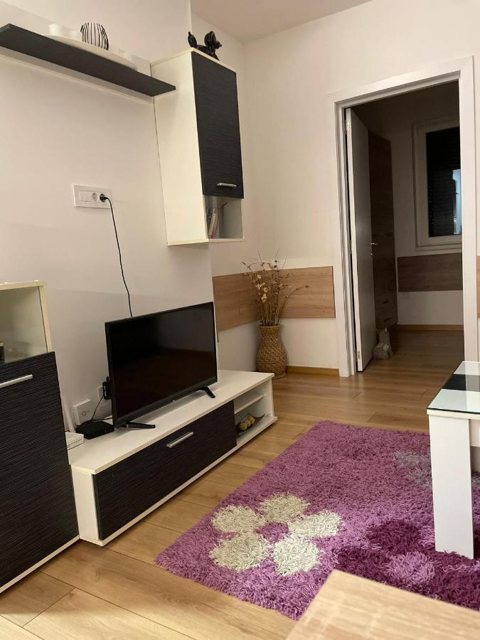 Apartman Mik Novi Sad Eksteriør billede