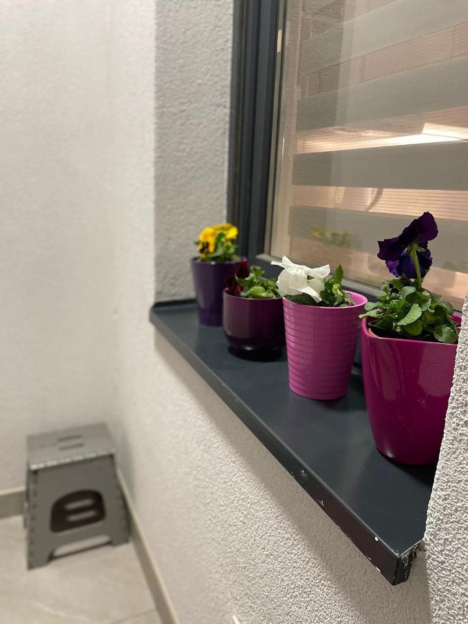 Apartman Mik Novi Sad Eksteriør billede